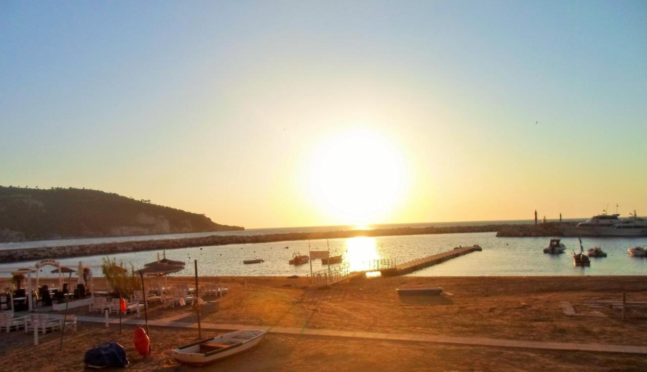 Sea House B&B Peschici Εξωτερικό φωτογραφία